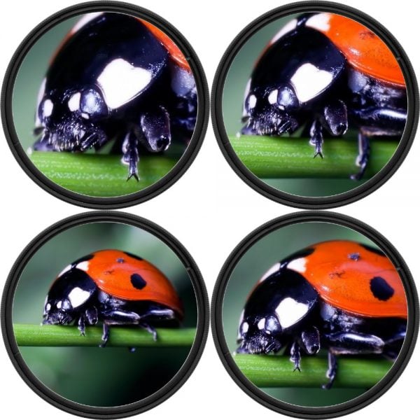 close up macro filters camera filter types photography vlogging
