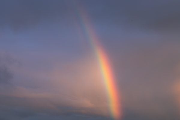 lgbtqia pride playlist queer artists lgbt artists music pride month artists