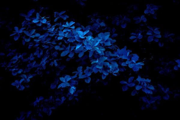 fast lenses photography tips for shooting in low lighting dark photography tips