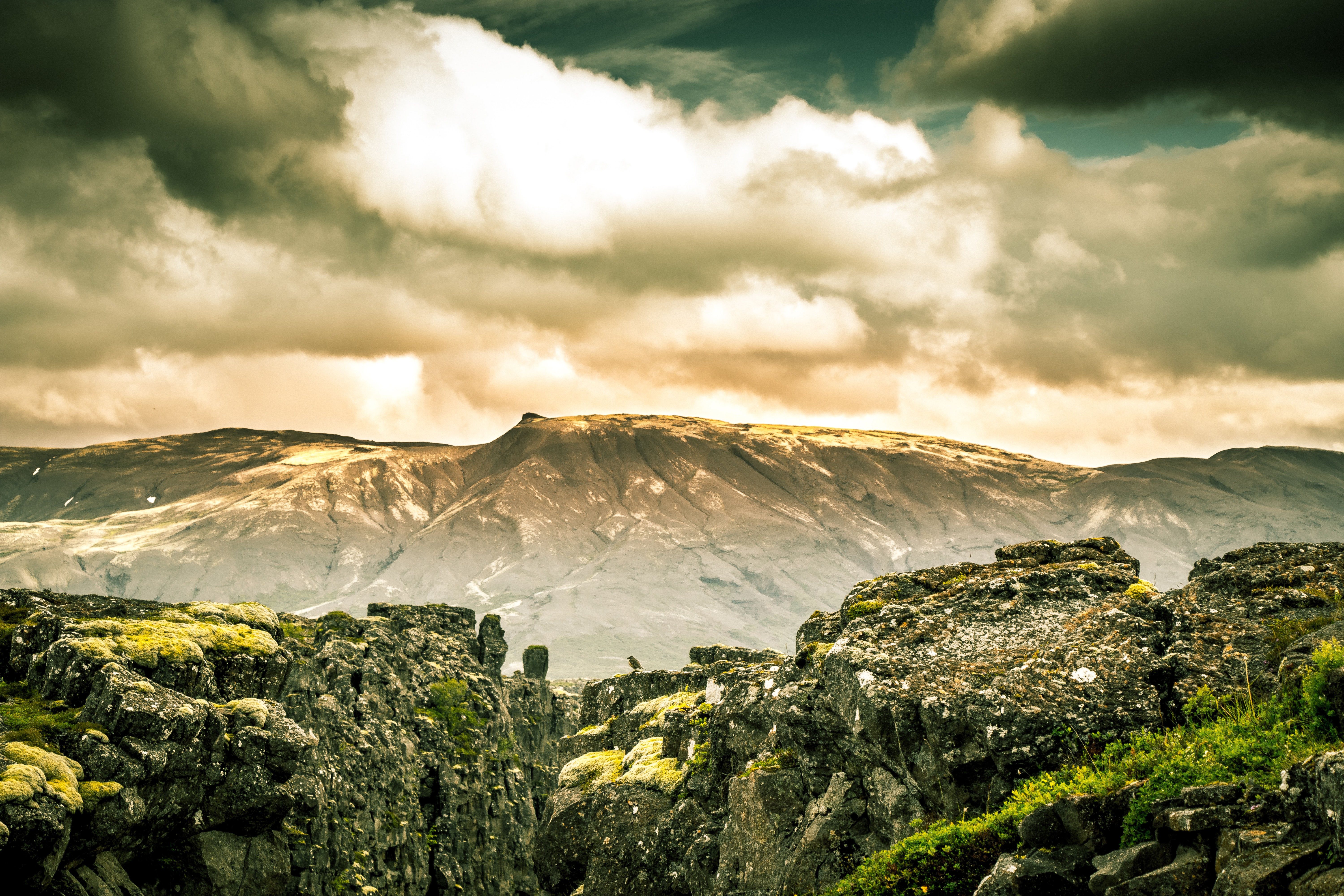 HDR photography equipment using a tripod photographer videographer content creator tips